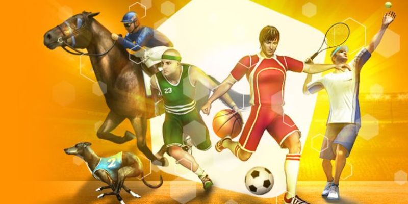 Giới thiệu dịch vụ thể thao QH88